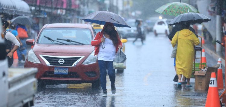 Foto: Diario El Salvador / David Martínez