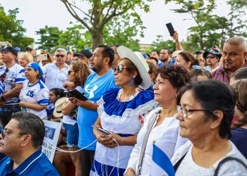 La diáspora gozará de la democracia con ley de voto en el extranjero