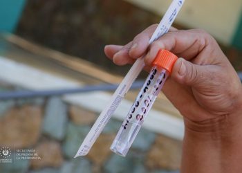 Realizan pruebas para COVID-19 en San Vicente