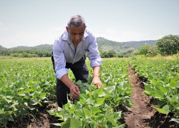 Gobierno de El Salvador monitorea zonas productivas