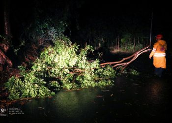 Autoridades atienden emergencias por lluvias provocadas por Tormenta Tropical Julia en zona oriental de El Salvador