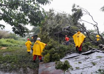 Caída de árboles por lluvia deja un fallecido en Sonsonate