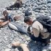 Encuentran delfín muerto en playa La Paz, en La Libertad