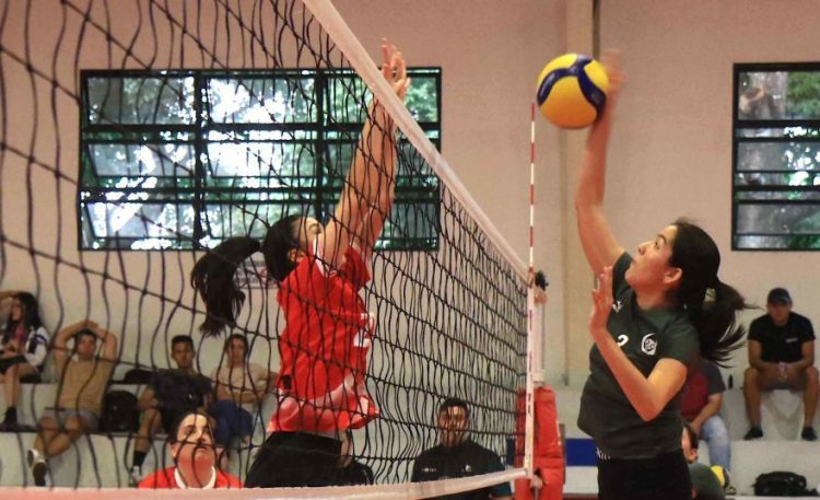 Las acciones del Campeonato Nacional de Voleibol, siguen este fin de semana en el Gimnasio de la Federación. Foto/Fesavol