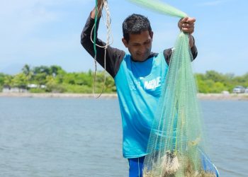Cooperativa aumentó su producción de camarón en Jiquilisco, Usulután