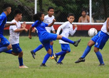 Iniciaron las semifinales de la fase regional de la Copa Alevines