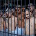 Más de 55,000 pandilleros han sido capturados durante el régimen de excepción en El Salvador
