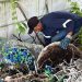 Retiran 61 toneladas de basura de botadero ilegal en Santa Tecla