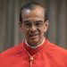 Cardenal Rosa Chávez renuncia a su cargo como obispo auxiliar de la Arquidiócesis de San Salvador