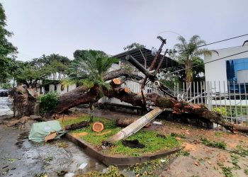 Restablecen el servicio de energía en diferentes puntos de El Salvador