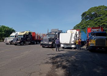 El Viceministerio de Transporte continúa con verificaciones al transporte de carga para el periodo de zafra