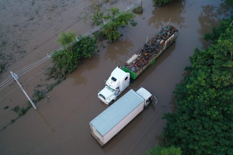 Foto/ Diario El Salvador