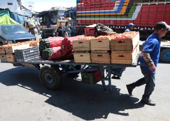 El Salvador redujo 24 % las importaciones de frutas y hortalizas