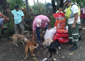 Llevan alimentos a animales que no pudieron ser evacuados en Puerto Parada, Usulután