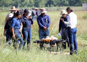 El Ministerio de Agricultura invierte más de $2 millones en recuperación de cultivos tras tormenta