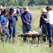 El Ministerio de Agricultura invierte más de $2 millones en recuperación de cultivos tras tormenta