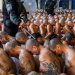 ARENA y FMLN defienden a pandilleros detenidos y rechazan resultados