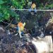 El Ministerio de Obras Públicas repara cárcava en Yoloaiquín, Morazán