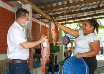 El BFA entregó $14.3 millones en créditos en septiembre de 2022