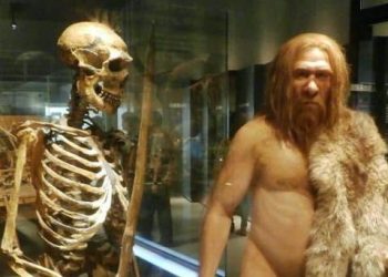 La paleogenética, una ciencia a la vez prehistórica y contemporánea