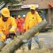 Autoridades emiten alerta roja en El Salvador ante emergencia por Julia