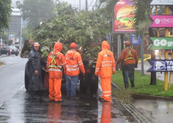 Autoridades atendieron emergencia por caída de árboles en bulevar Santa Elena, Antiguo Cuscatlán