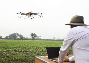 Aplican fungicida en campos cultivo de Zapotitán usando agrodrones