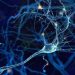 Neuronas de laboratorio aprendieron a jugar un videojuego