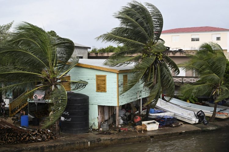 FOTO / AFP