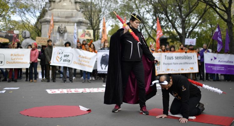 Foto: AFP