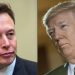 Musk restablece la cuenta de Donald Trump en Twitter tras encuesta