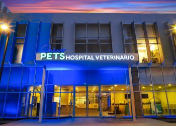 Chivo Pets, el primer hospital veterinario de la región, cumple un año del inicio de su construcción