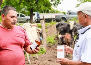 Inician programa de vacunación, vitaminización y desparasitación del ganado en El Salvador