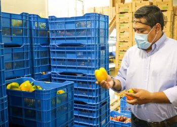 Ministerio de Agricultura realiza inspección fitosanitaria a productos destinados para la exportación en San Juan Opico
