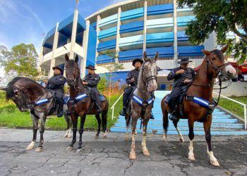Salvadoreños disfrutaron del concierto de Daddy Yankee con alta seguridad