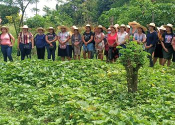 Capacitan a mujeres en la producción de hortalizas en La Unión