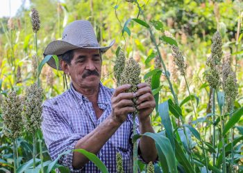 Gobierno fortalece financiamiento para productores agropecuarios 