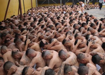Analista dice que el Gobierno de Bukele pasó del discurso a las acciones en seguridad