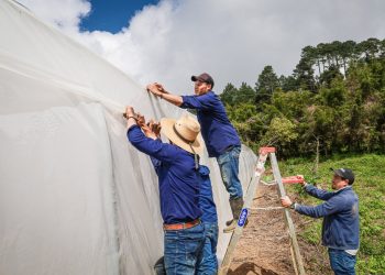 ENA brinda asistencia técnica a productores de Chalatenango