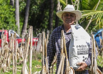 Gobierno de El Salvador busca producir 260,000 quintales de maíz extra al fin de año