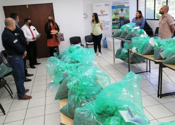 Avanzan los procesos para Cacao de Excelencia