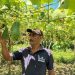 Agricultores han mejorado sus cultivos con productos orgánicos