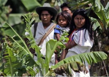 Saberes indígenas de Colombia son declarados patrimonio de la humanidad por la Unesco