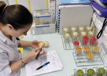 La OMS quiere identificar patógenos que pueden causar pandemias