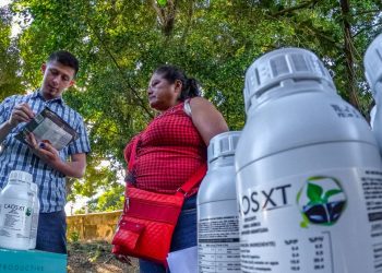 Gobierno salvadoreño trabaja para proteger cafetales afectados por tormenta Julia en Santa Ana