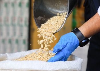 Defensoría del Consumidor verifica la estabilidad de precios de granos básicos durante operativo en San Salvador