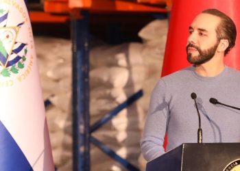 «El Salvador debe tomar las oportunidades que lo lleven al desarrollo»: presidente Bukele sobre tratado de libre comercio con China