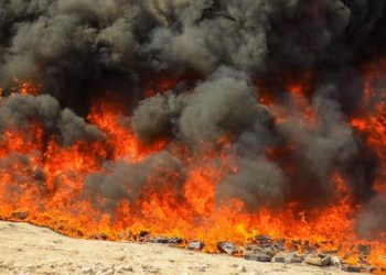 Destruyen más de $12 millones en droga incautada en 21 procedimientos contra el narcotráfico