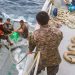 Fuerza Naval realiza la incautación de droga más grande del año: asciende a 3.1 toneladas