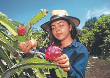 ENA será un instituto especializado de nivel superior
